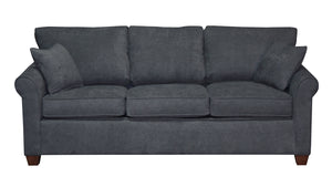 Non-toxic Douglas Queen Condo Sleeper, Sofas - Endicott Home Furnishings - 1